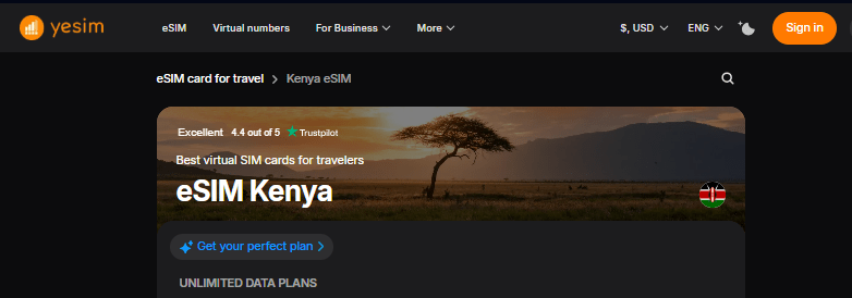 yesim kenya esim