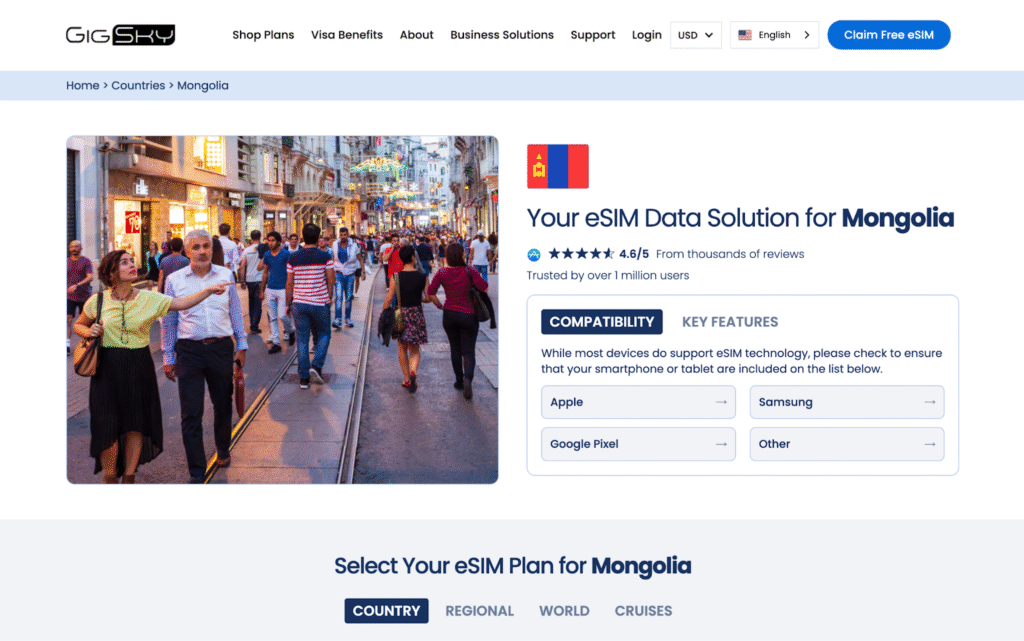 mongolia esim provider homepahe: gigsky
